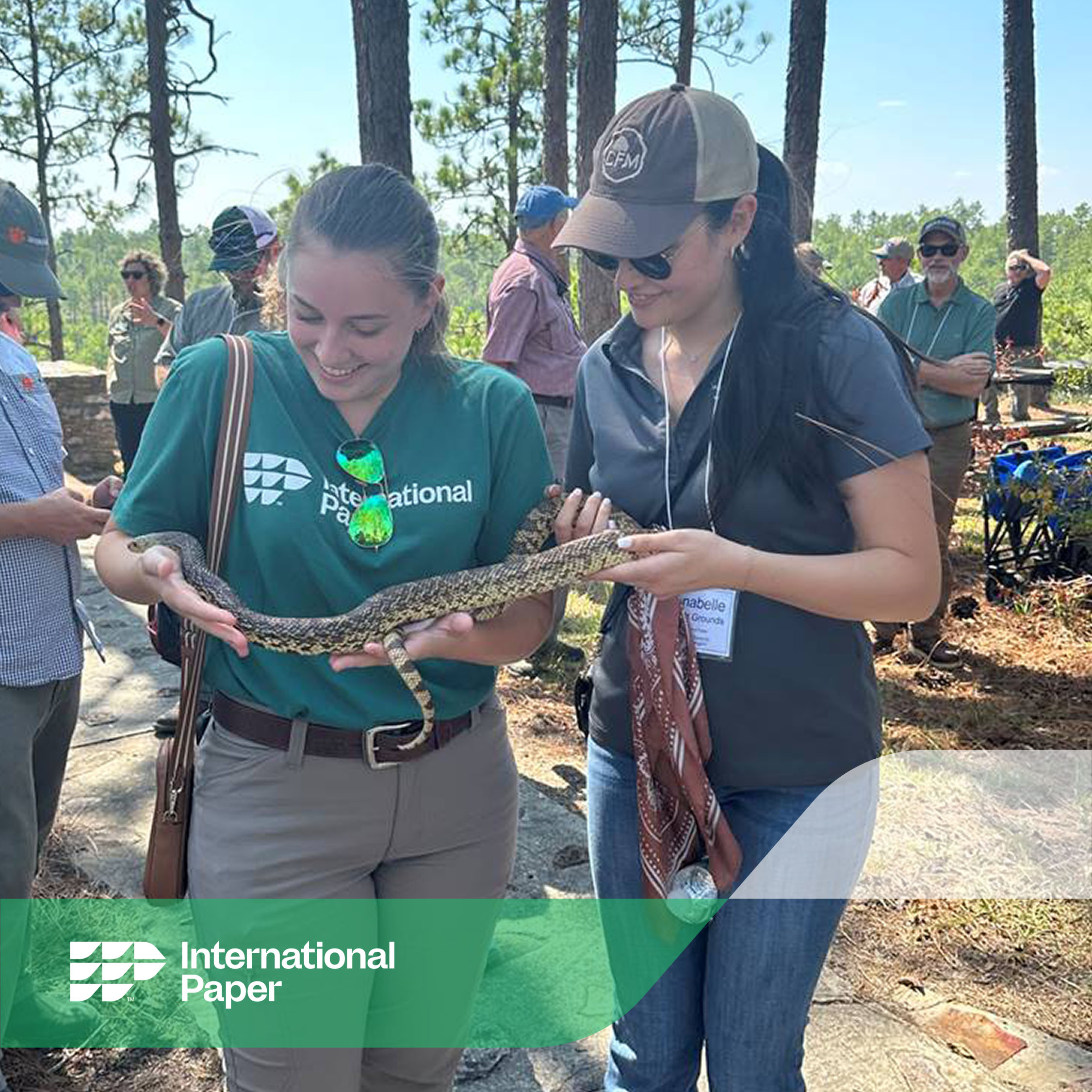 Two IP employees hold a Louisiana pine snake