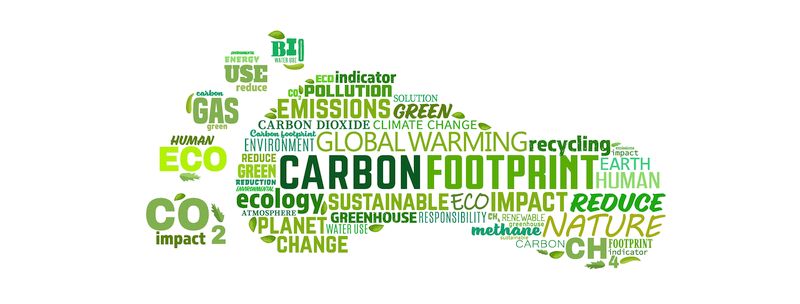 Win & Green: French Commercial Team Introduces New Sales Tool, Highlighting IP’s Sustainability Advantages