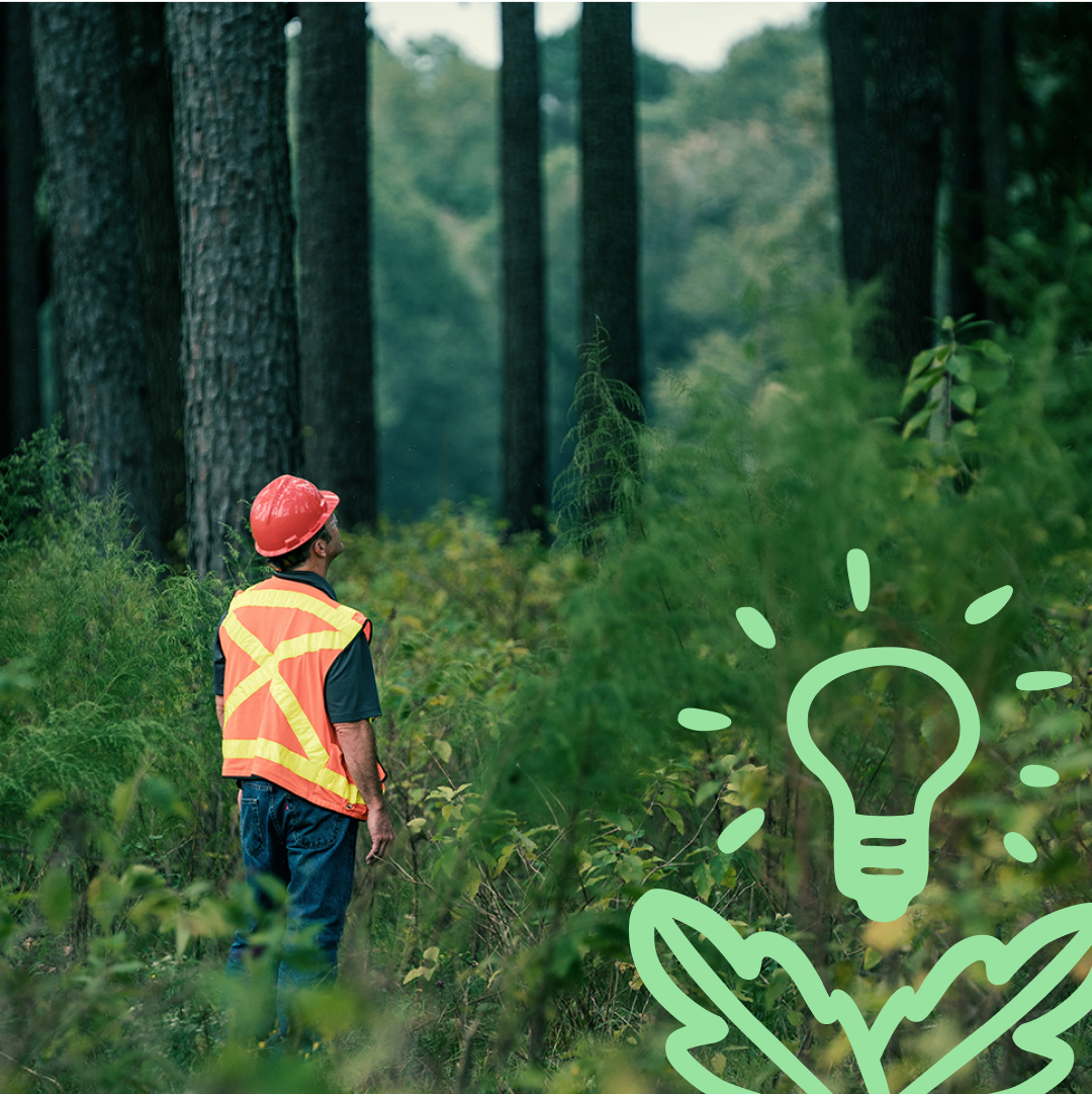 person in a forest