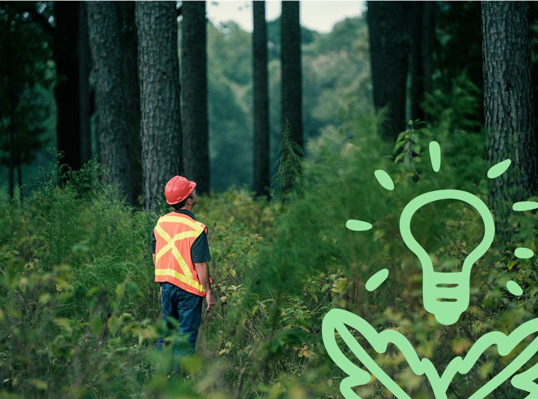 man looking at forest