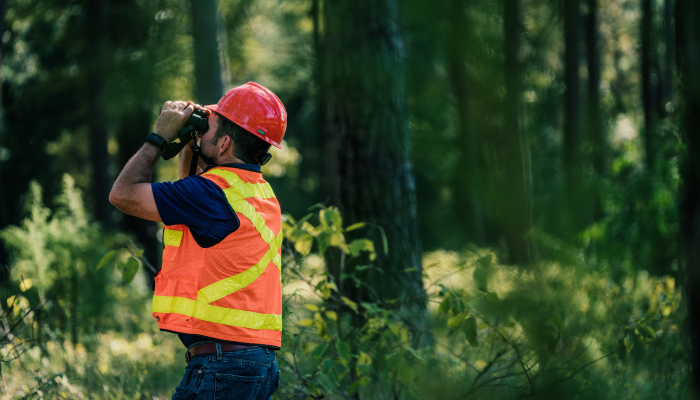 worker in a forest, looking around through binoculars