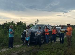 People learn about the Swallow-tailed Kite in a working forest