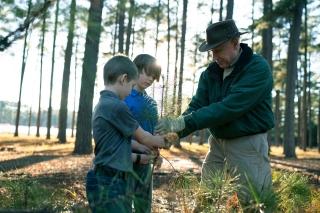Helping family forest owners