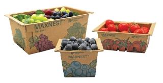 MaxNest trays