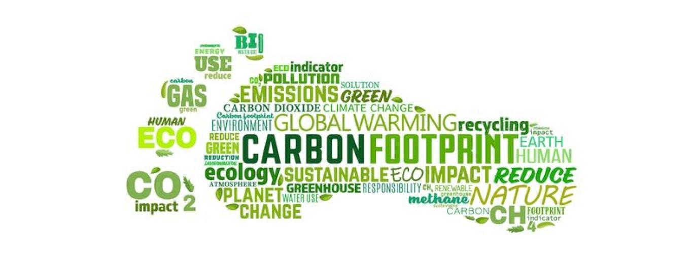 Win & Green: French Commercial Team Introduces New Sales Tool, Highlighting IP’s Sustainability Advantages