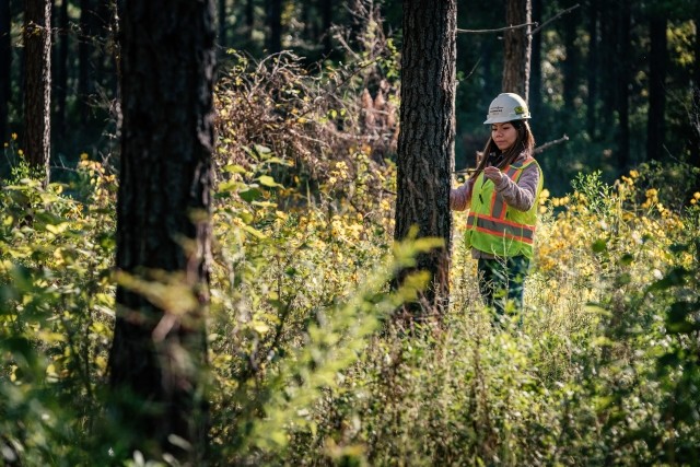Woman in working forest
