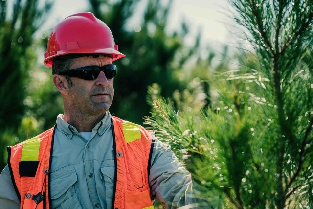 An IP fiber supply employee inspects a working forest