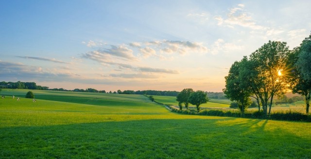 Belgium