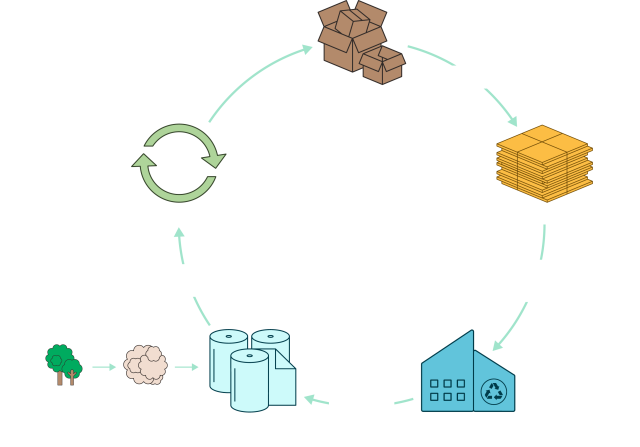circularity loop