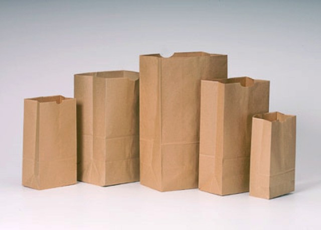 100 x WHITE Kraft Flat Paper Bags Brown Food Grocery Sandwich Bags - 6 x  6