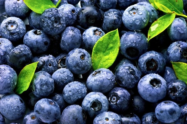 MaxNest Blueberries