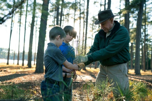 Helping family forest owners