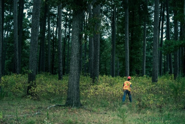 Man walking in forest
