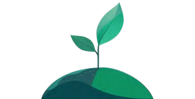 Seedling graphic