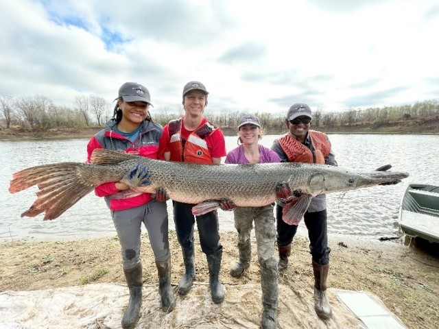 alligator gar held by 4 people