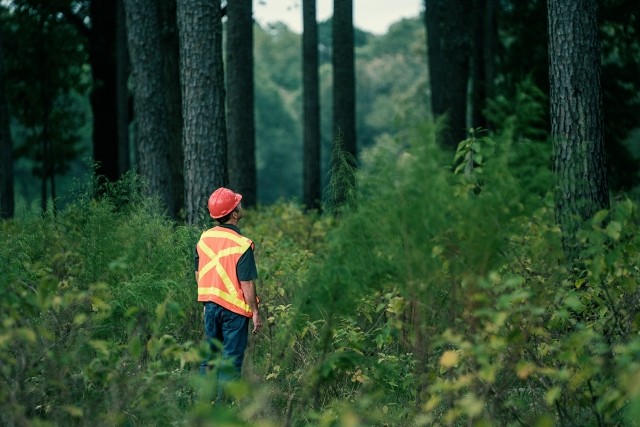 man in a safety vest and hard hat in the middle of a forest