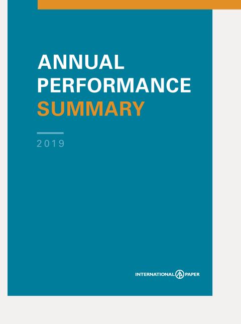 A snapshot of IP's annual report