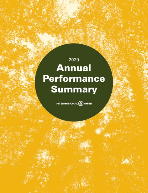 A snapshot of IP's annual report