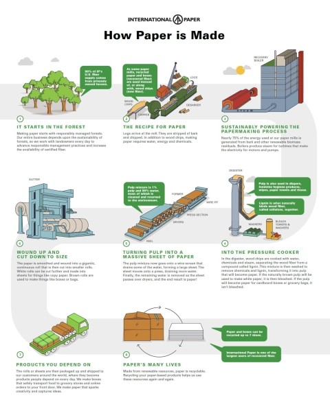 an infographic illustrating the step by step paper making process