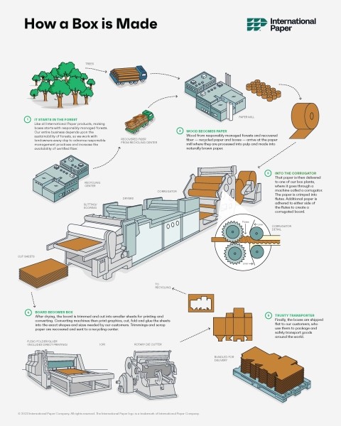 The Paper Making Process 