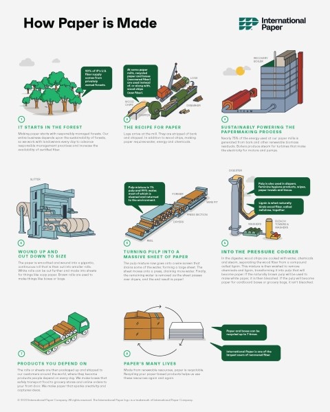 an infographic illustrating the step by step paper making process